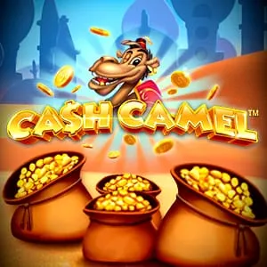 Cash Camel
